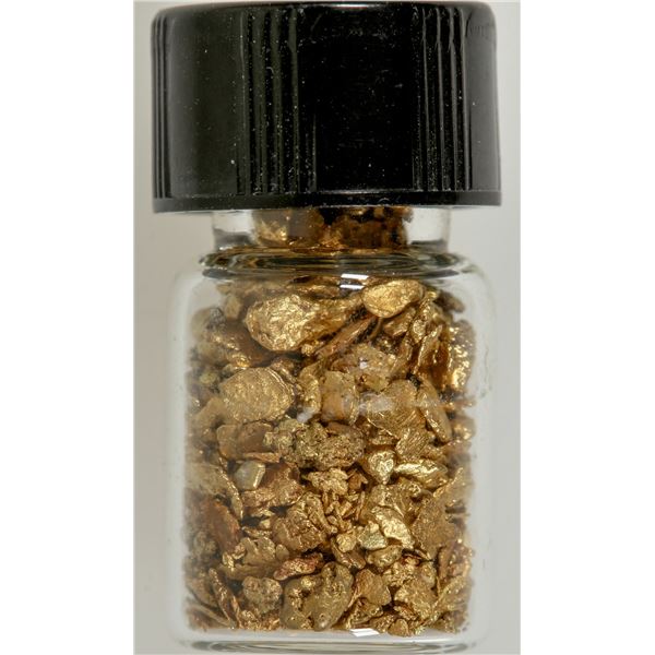 Ocean Placer Gold from Nome (1/2 ounce) [193036]