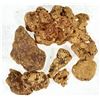 Image 1 : Gold Basin Placer Gold, 3.79 Grams [193145]
