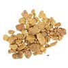 Image 1 : Summit Diggings, Placer Gold, 5.49 Grams [193105]