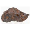 Image 3 : Canyon Diablo Meteorite [190808]
