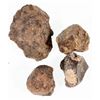 Image 2 : Gold Basin Meteorites, 4 Small [193150]
