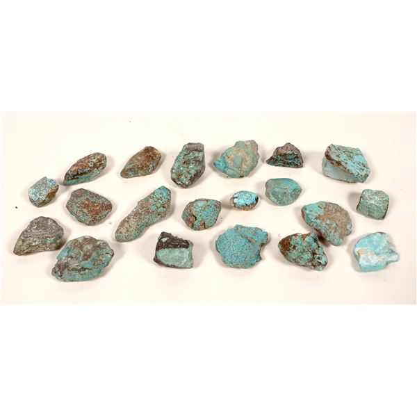Turquoise Specimens  No. 8 Mine, Nevada - Blue-Green Var. (20 pieces) [191957]