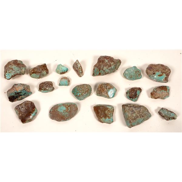 Turquoise Specimens  No. 8 Mine, Nevada - Green-Blue (20) [191952]