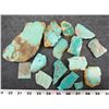 Image 1 : Turquoise - No. 8 Mine Nevada Slabs [193069]