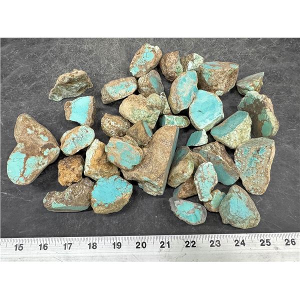 Turquoise - No. 8 Mine Nevada, Cut Surfaces [193067]