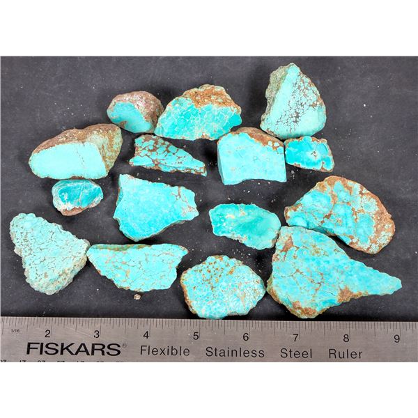 Turquoise - No. 8 Mine Nevada, High Grade (15) [193273]