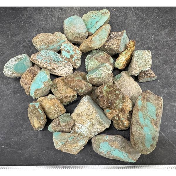Turquoise - No. 8 Mine Nevada, Large Cut  [193072]