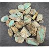 Image 1 : Turquoise - No. 8 Mine Nevada, Large Cut  [193072]