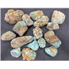 Image 1 : Turquoise - No. 8 Mine Nevada, Large Nuggets [193260]