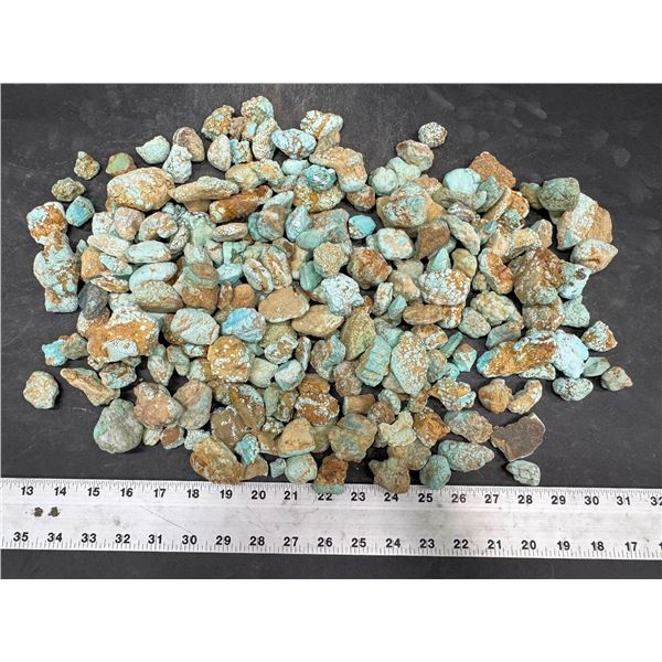 Turquoise - No. 8 Mine Nevada, Oxidized Nuggets [193060]