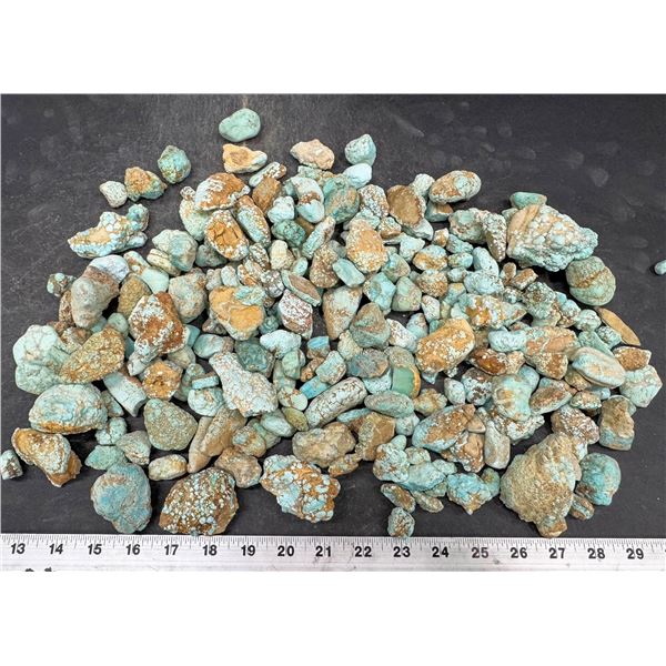 Turquoise - No. 8 Mine Nevada, Oxidized Nuggets [193061]