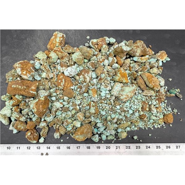 Turquoise - No. 8 Mine Nevada, Oxidized Nuggets [193057]
