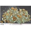 Image 2 : Turquoise - No. 8 Mine Nevada, Oxidized Nuggets [193057]