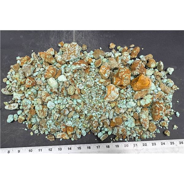 Turquoise - No. 8 Mine Nevada, Oxidized Nuggets [193056]