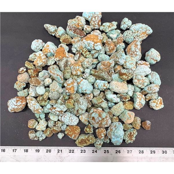 Turquoise - No. 8 Mine Nevada, Oxidized Nuggets [193059]