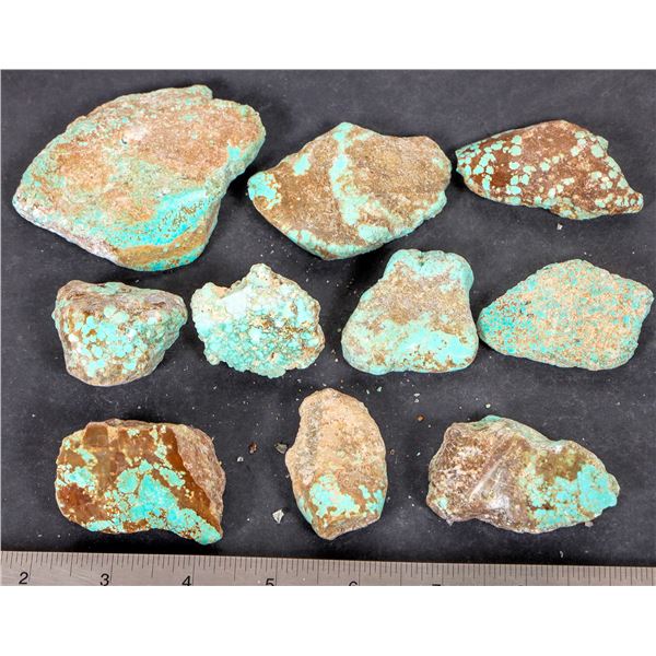 Turquoise - No. 8 Mine Nevada, Polished (10) [193278]