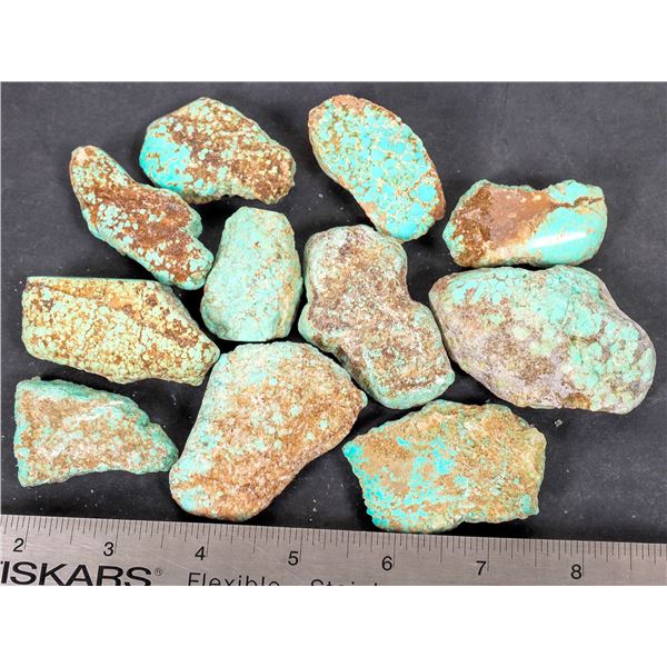 Turquoise - No. 8 Mine Nevada, Polished (11) [193279]
