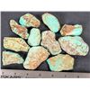 Image 1 : Turquoise - No. 8 Mine Nevada, Polished (11) [193279]
