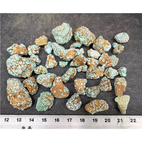 Turquoise - No. 8 Mine Nevada, RARE Specimens [193066]
