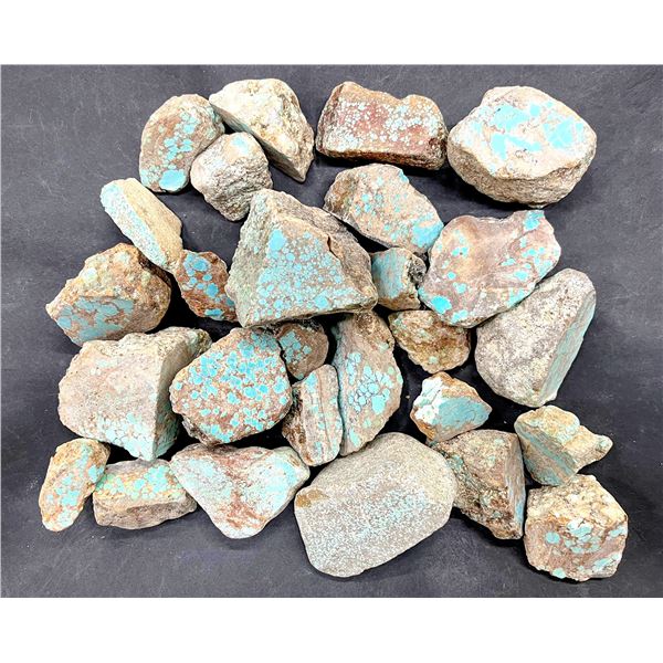 Turquoise - No. 8 Mine Nevada, Spider Web [193286]