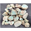 Image 1 : Turquoise - No. 8 Mine Nevada, Spider Web [193286]