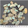 Image 1 : Turquoise - No. 8 Mine Nevada, Spider Web [193289]