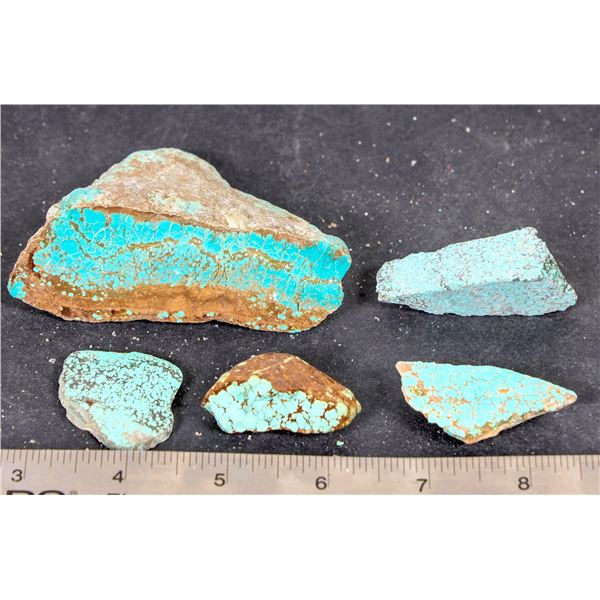Turquoise - No. 8 Mine Nevada, Spider Web (5) [193276]