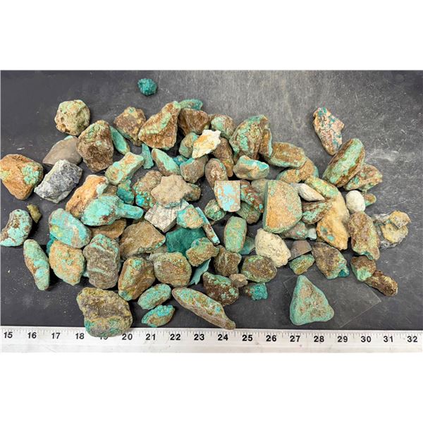 Turquoise - No. 8 Mine Nevada, Better Color [193268]