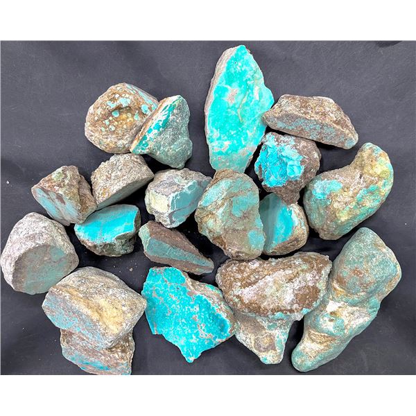 Turquoise - No. 8 Mine Nevada, Color [193264]
