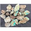 Image 2 : Turquoise - No. 8 Mine Nevada, Color [193264]
