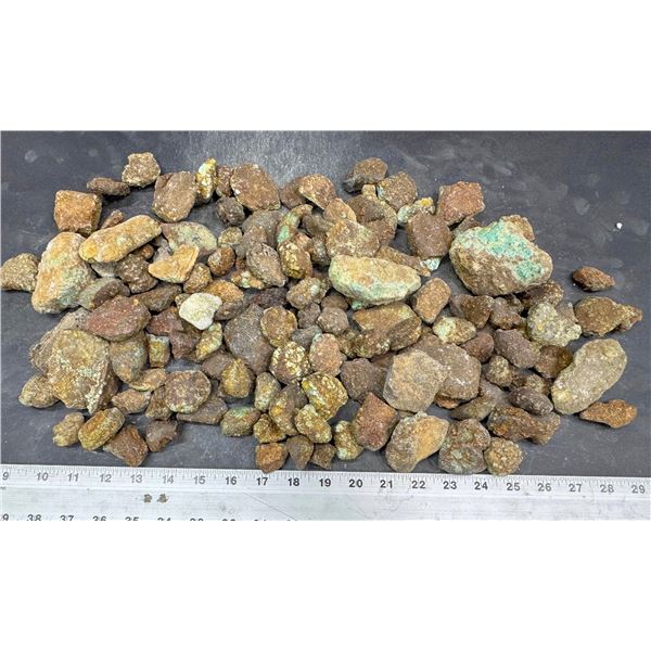 Turquoise - No. 8 Mine Nevada, Grab Bag [193065]