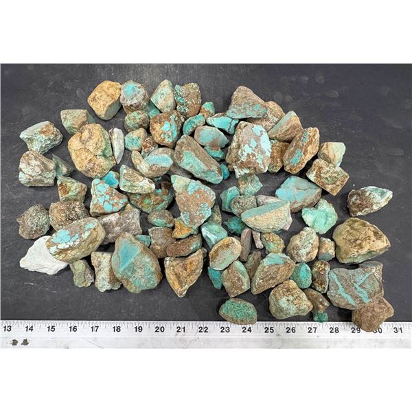 Turquoise - No. 8 Mine Nevada, Grade 1.5 [193064]