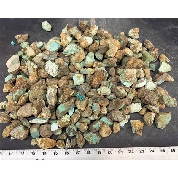 Turquoise - No. 8 Mine Nevada, Grade 2.5 [193266]