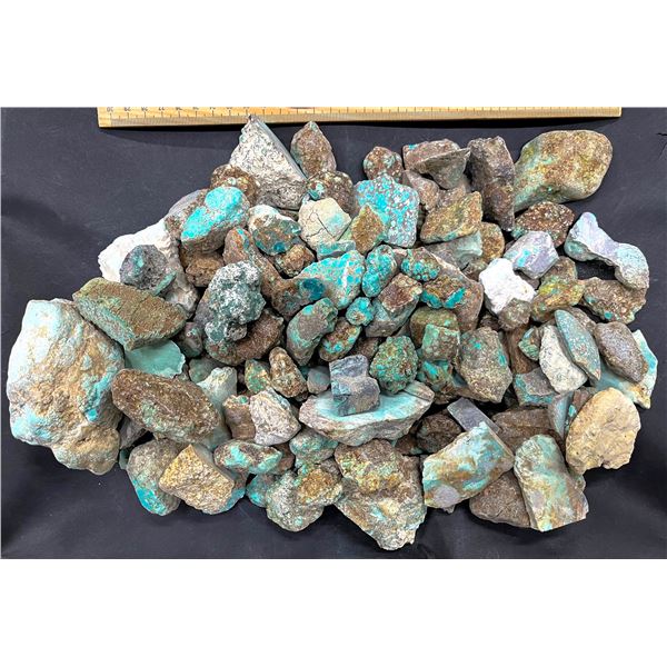 Turquoise - No. 8 Mine Nevada, Grade 2.5 [193271]