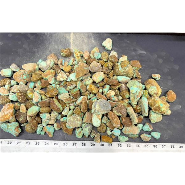 Turquoise - No. 8 Mine Nevada, Grade 2.5 [193263]