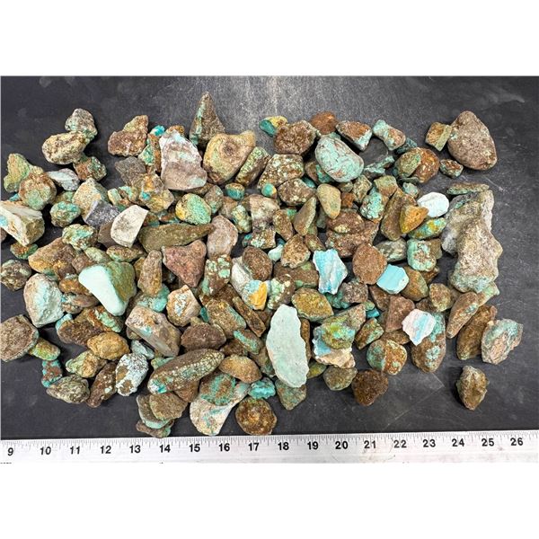 Turquoise - No. 8 Mine Nevada, Grade 2.5 [193270]
