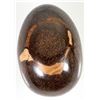 Image 1 : Precious Fire Opal Egg [191574]
