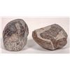 Image 1 : Dinosaur Eggs from China (2) [193420]