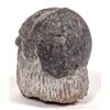 Image 2 : Dinosaur Eggs from China (2) [193420]