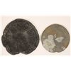 Image 2 : Pyritized Sand Dollars, Ohio (2) [191801]