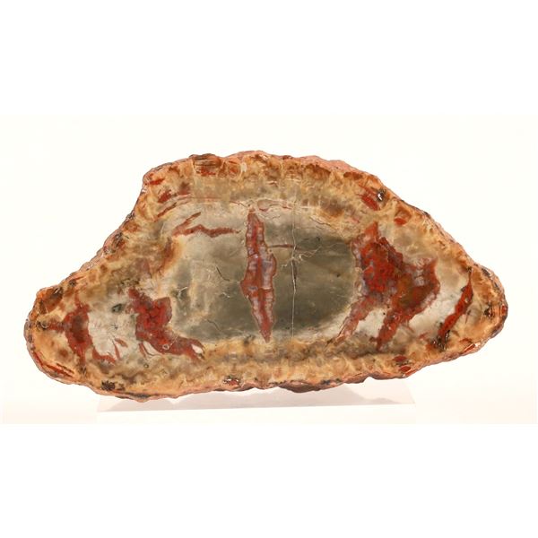 Jasper - Cut, Polished Stone [184007]