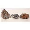 Image 2 : Fossils Dinosaur Bones, Brachiopod (3) [192840]