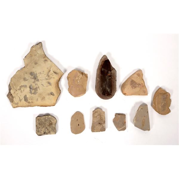 Trilobites and Trilobite Hash Fossils (10) [191828]