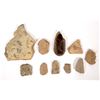 Image 1 : Trilobites and Trilobite Hash Fossils (10) [191828]