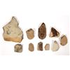 Image 2 : Trilobites and Trilobite Hash Fossils (10) [191828]