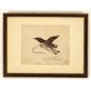 Image 1 : Signed eagle illustration, E.F. Hurlbut [190914]
