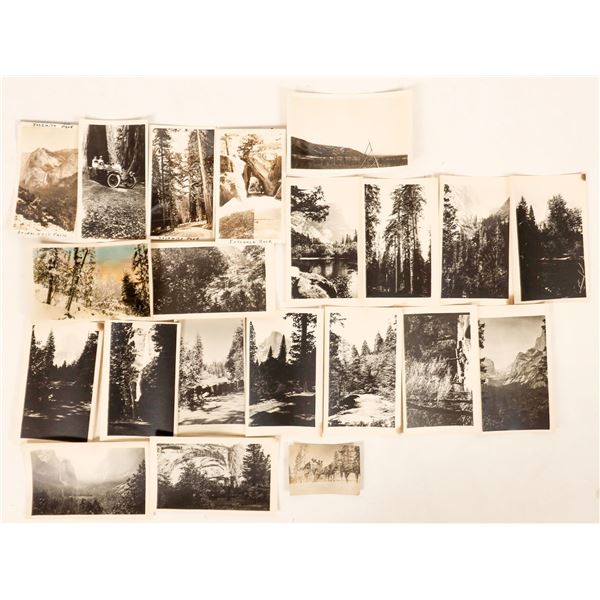 B/W Photos Of Yosemite [188967]