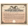 Image 1 : Afterthought Copper Co. Stock Certificate [190911]