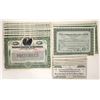 Image 1 : Yuba County Mining Stock Certificates (41) [192709]