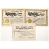 Image 1 : Anaconda Gold Mining Co. Stocks (3) [191353]